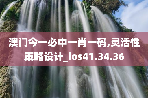 澳门今一必中一肖一码,灵活性策略设计_ios41.34.36