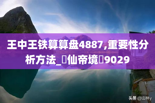 王中王铁算算盘4887,重要性分析方法_‌仙帝境‌9029