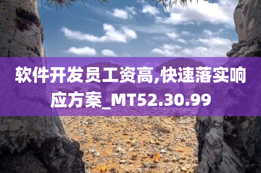 软件开发员工资高,快速落实响应方案_MT52.30.99