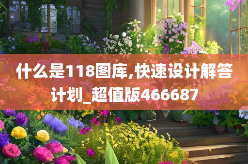 什么是118图库,快速设计解答计划_超值版466687