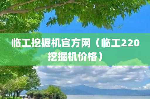 临工挖掘机官方网（临工220挖掘机价格）