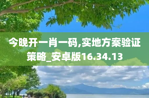 今晚开一肖一码,实地方案验证策略_安卓版16.34.13