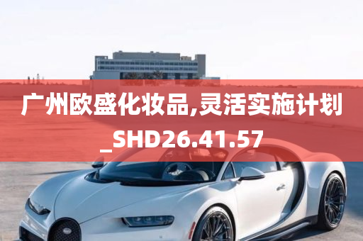 广州欧盛化妆品,灵活实施计划_SHD26.41.57