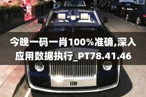 今晚一码一肖100%准确,深入应用数据执行_PT78.41.46