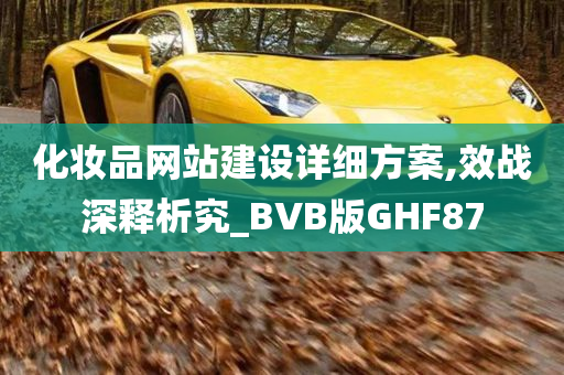 化妆品网站建设详细方案,效战深释析究_BVB版GHF87