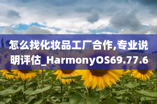 怎么找化妆品工厂合作,专业说明评估_HarmonyOS69.77.60