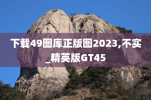 下载49图库正版图2023,不实_精英版GT45