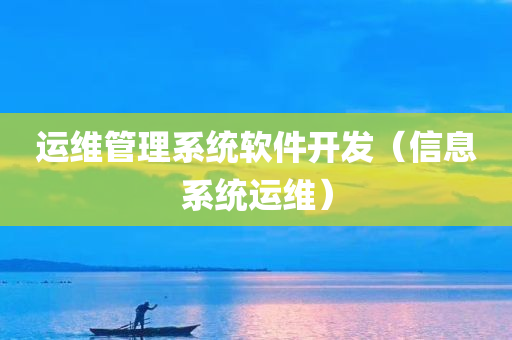 运维管理系统软件开发（信息系统运维）