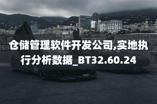 仓储管理软件开发公司,实地执行分析数据_BT32.60.24