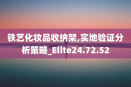 铁艺化妆品收纳架,实地验证分析策略_Elite24.72.52