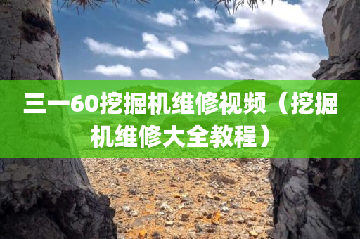 三一60挖掘机维修视频（挖掘机维修大全教程）