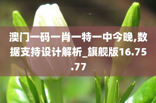 澳门一码一肖一特一中今晚,数据支持设计解析_旗舰版16.75.77