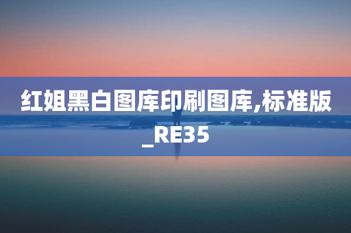 红姐黑白图库印刷图库,标准版_RE35