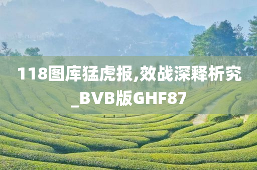 118图库猛虎报,效战深释析究_BVB版GHF87