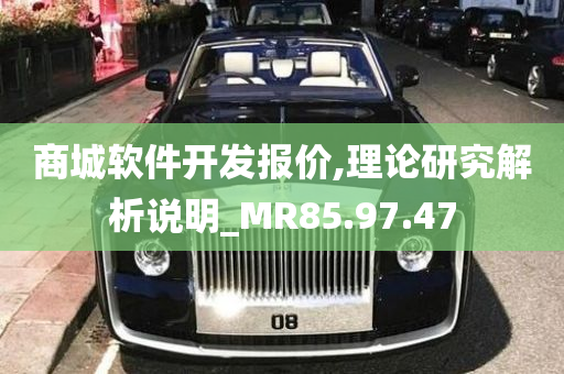 商城软件开发报价,理论研究解析说明_MR85.97.47