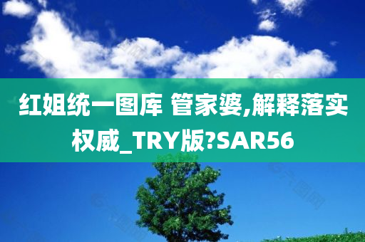 红姐统一图库 管家婆,解释落实权威_TRY版?SAR56