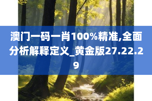 澳门一码一肖100%精准,全面分析解释定义_黄金版27.22.29