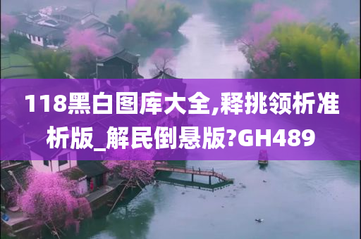 118黑白图库大全,释挑领析准析版_解民倒悬版?GH489