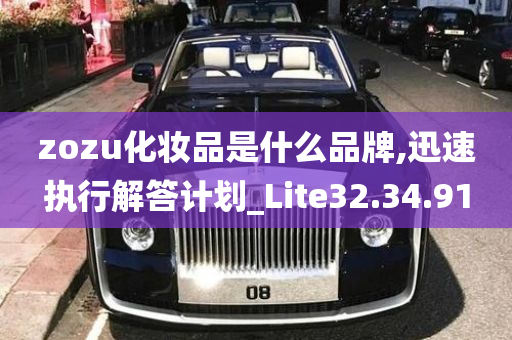 zozu化妆品是什么品牌,迅速执行解答计划_Lite32.34.91