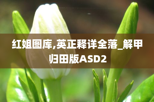 红姐图库,英正释详全落_解甲归田版ASD2