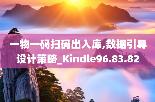 一物一码扫码出入库,数据引导设计策略_Kindle96.83.82