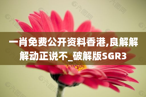 一肖免费公开资料香港,良解解解动正说不_破解版SGR3