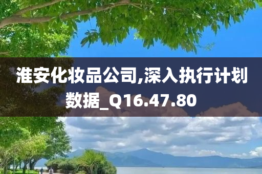 淮安化妆品公司,深入执行计划数据_Q16.47.80