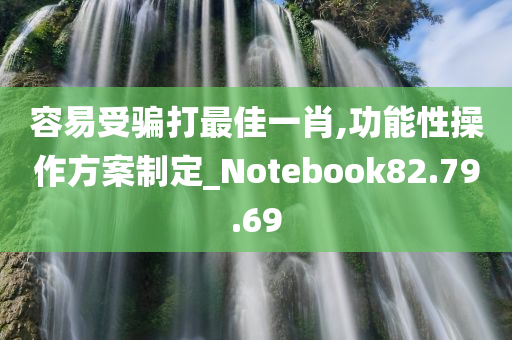 容易受骗打最佳一肖,功能性操作方案制定_Notebook82.79.69