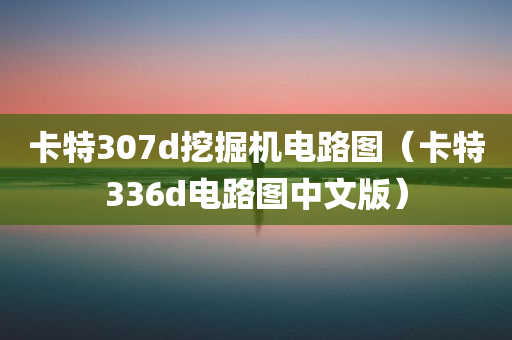 卡特307d挖掘机电路图（卡特336d电路图中文版）