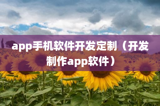 app手机软件开发定制（开发制作app软件）