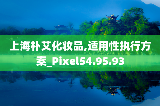 上海朴艾化妆品,适用性执行方案_Pixel54.95.93