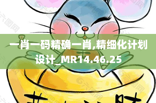 一肖一码精确一肖,精细化计划设计_MR14.46.25