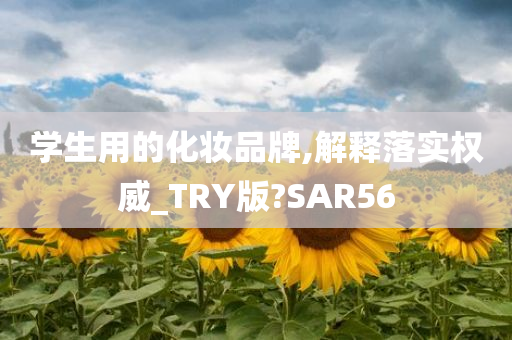 学生用的化妆品牌,解释落实权威_TRY版?SAR56