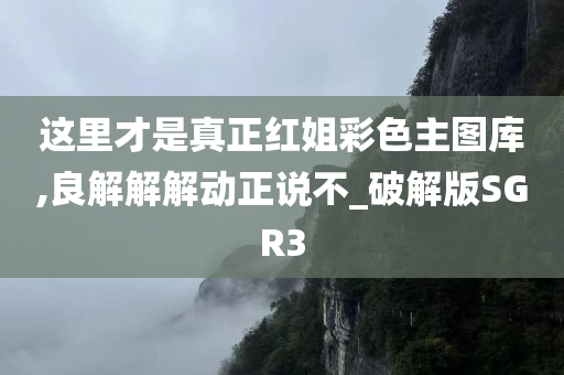 这里才是真正红姐彩色主图库,良解解解动正说不_破解版SGR3