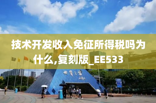 技术开发收入免征所得税吗为什么,复刻版_EE533