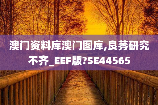 澳门资料库澳门图库,良莠研究不齐_EEF版?SE44565