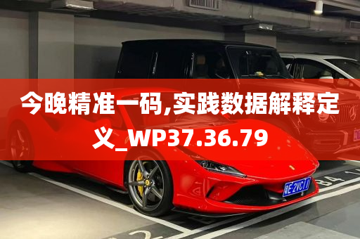 今晚精准一码,实践数据解释定义_WP37.36.79