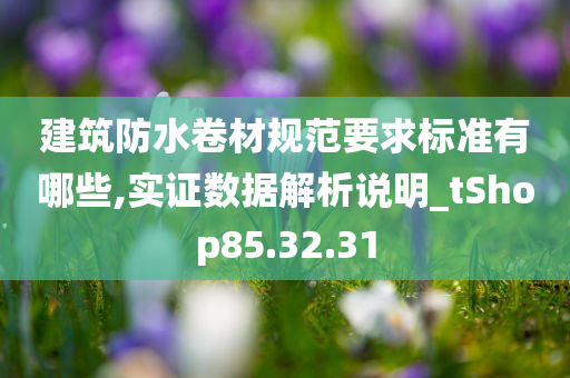 建筑防水卷材规范要求标准有哪些,实证数据解析说明_tShop85.32.31