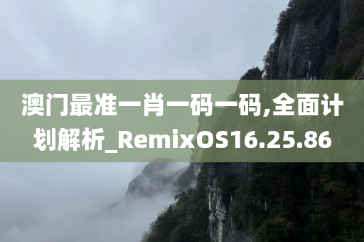 澳门最准一肖一码一码,全面计划解析_RemixOS16.25.86