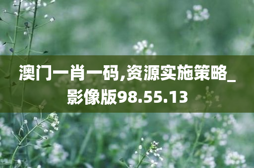 澳门一肖一码,资源实施策略_影像版98.55.13