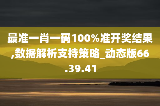 最准一肖一码100%准开奖结果,数据解析支持策略_动态版66.39.41