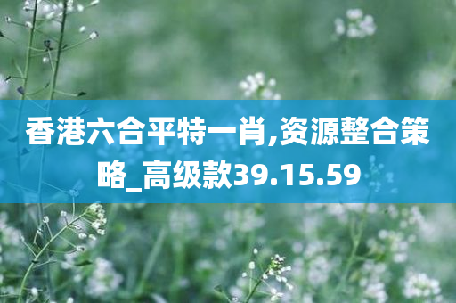 香港六合平特一肖,资源整合策略_高级款39.15.59