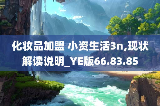 化妆品加盟 小资生活3n,现状解读说明_YE版66.83.85