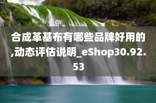 合成革基布有哪些品牌好用的,动态评估说明_eShop30.92.53