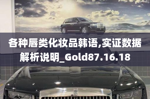 各种唇类化妆品韩语,实证数据解析说明_Gold87.16.18