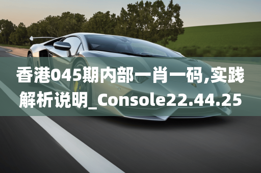 香港045期内部一肖一码,实践解析说明_Console22.44.25