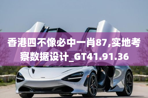 香港四不像必中一肖87,实地考察数据设计_GT41.91.36