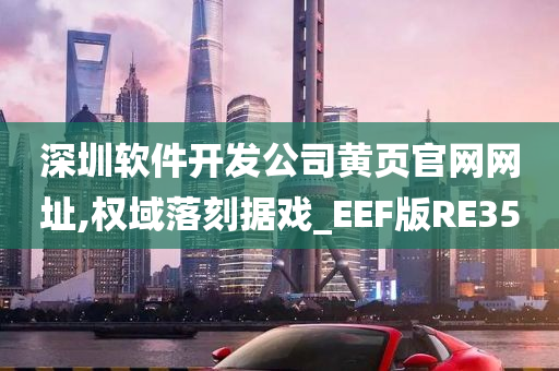 深圳软件开发公司黄页官网网址,权域落刻据戏_EEF版RE35