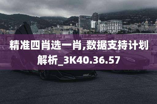 精准四肖选一肖,数据支持计划解析_3K40.36.57