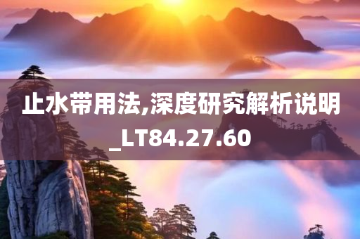 止水带用法,深度研究解析说明_LT84.27.60